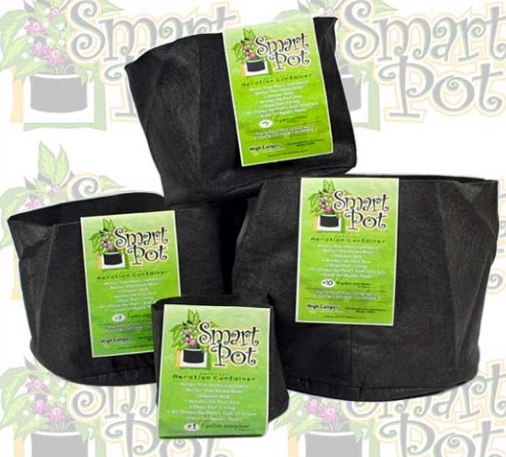 220719210345-smart+pots+2.jpeg